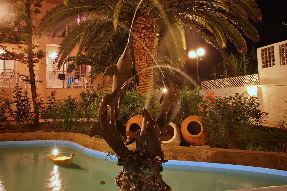Dolphin 2*