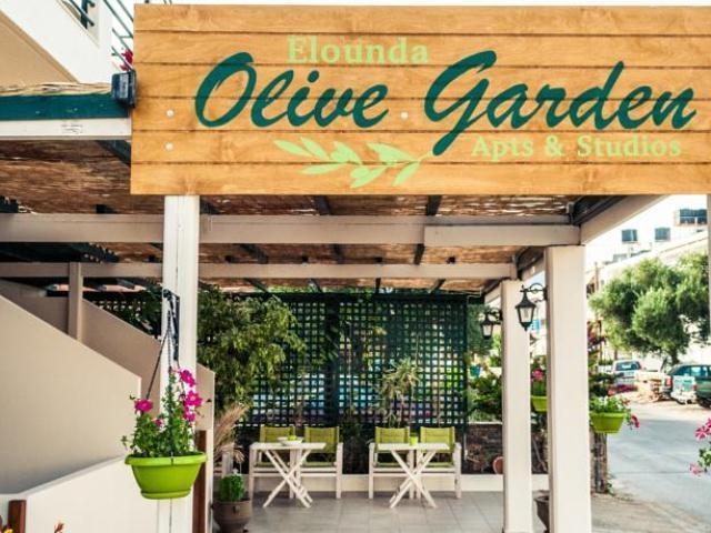 Olive Garden Apts & Apartment Elounda (Crete)
