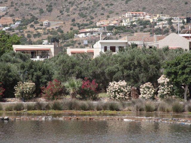 Olive Garden Apts & Apartment