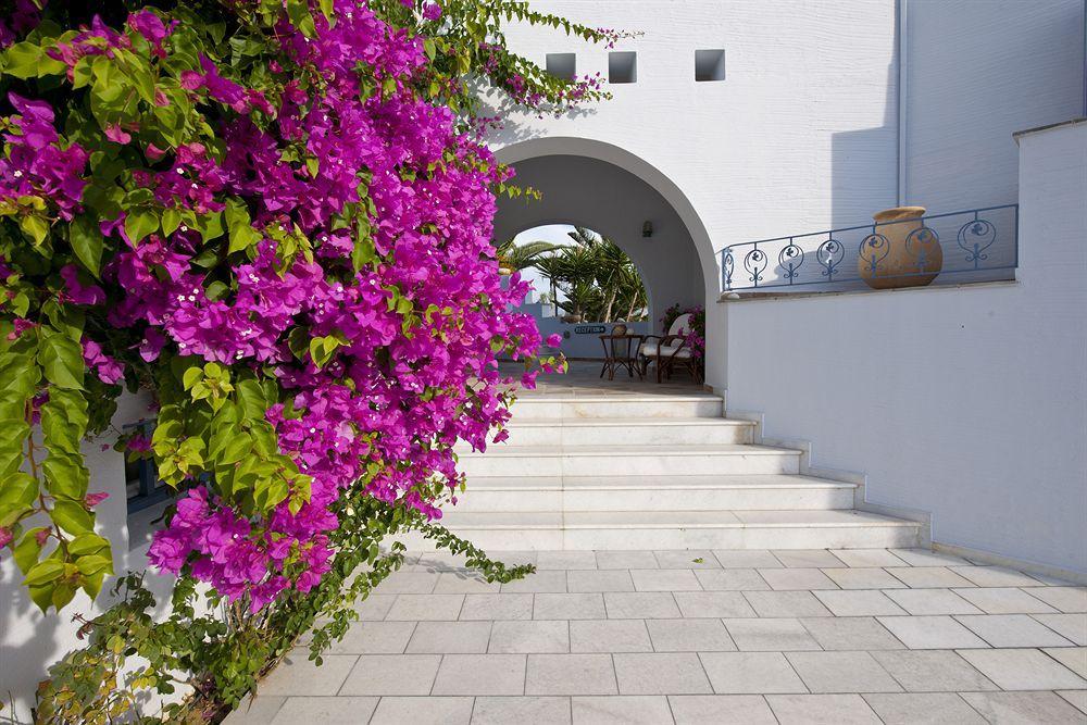Ammos Naxos Hotel Naxos City