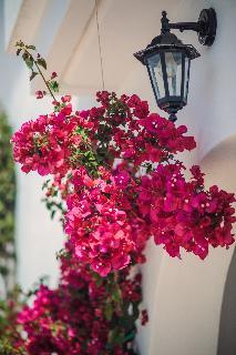 Iliana Apartment Georgioupoli