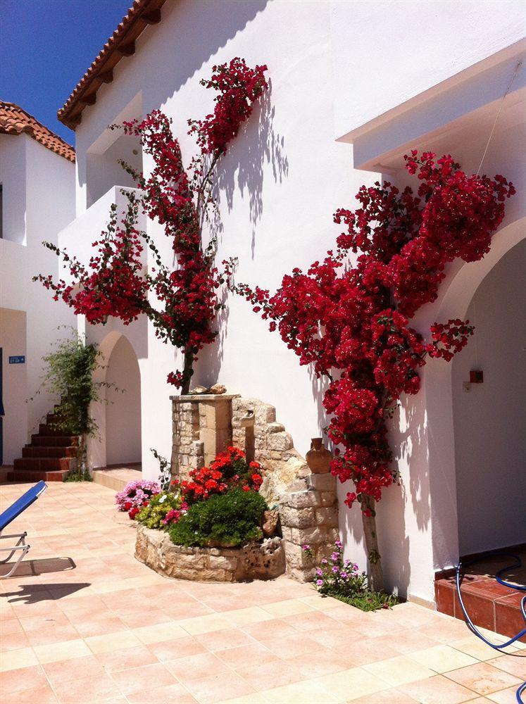 Iliana Apartment