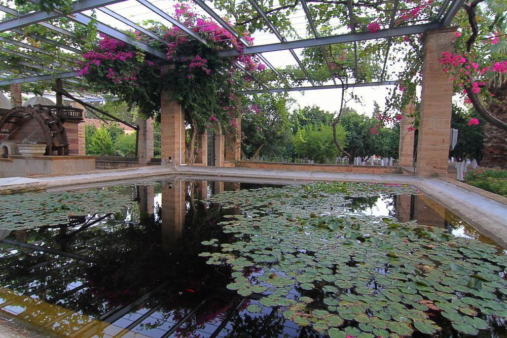 Argentikon Luxury 5* Kampochora (Chios)