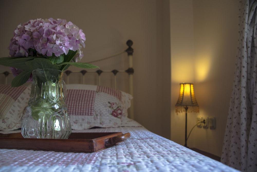 Triantafillies Guest house Portaria (Magnesia)