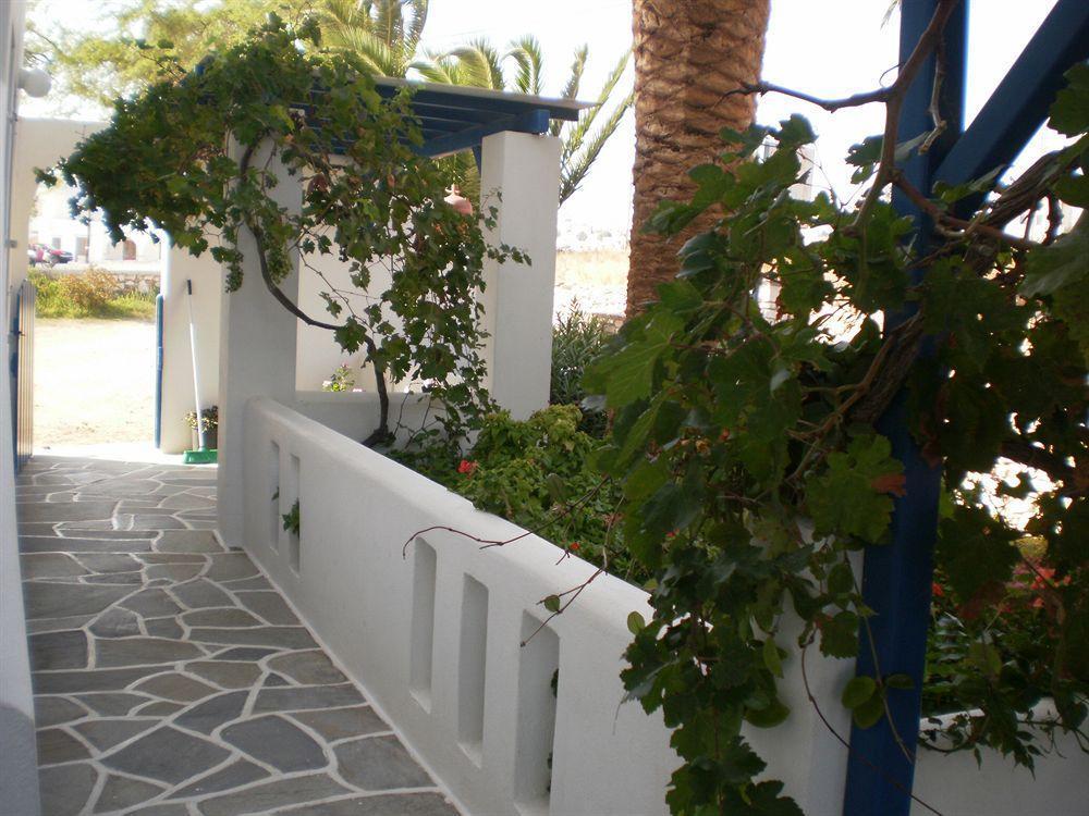 Oasis Apartment