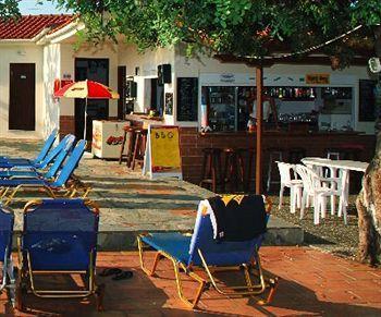 Ceratonia * Malia (Crete)