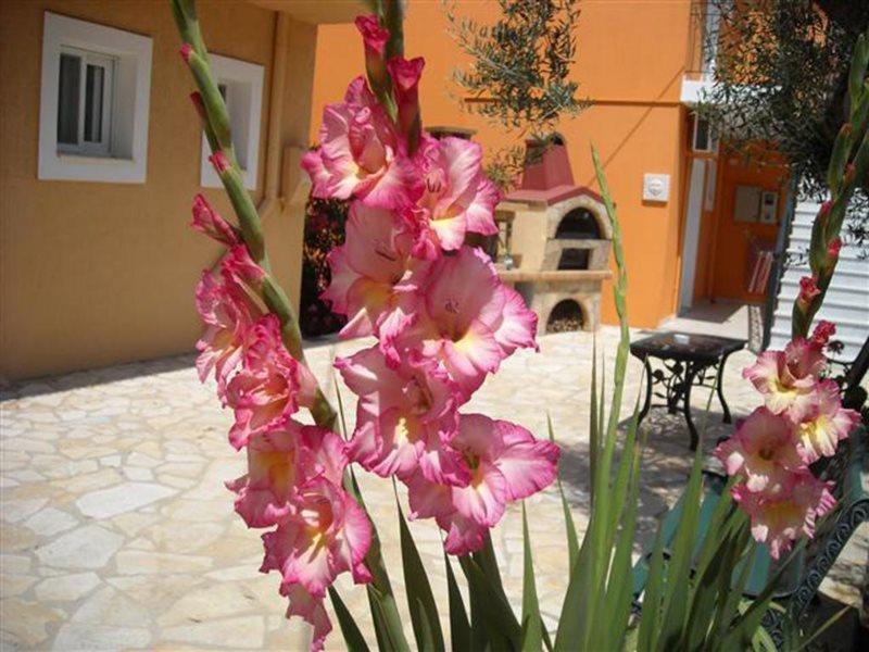 Erietta Aparthotel