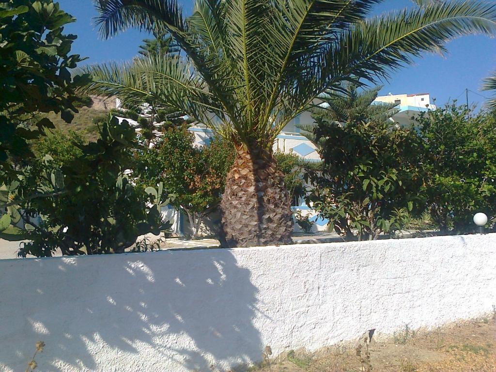Apartment Dionysia Kefalos (Kos)