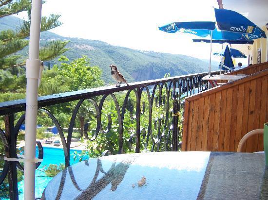 Bella Vista And 2* Parga