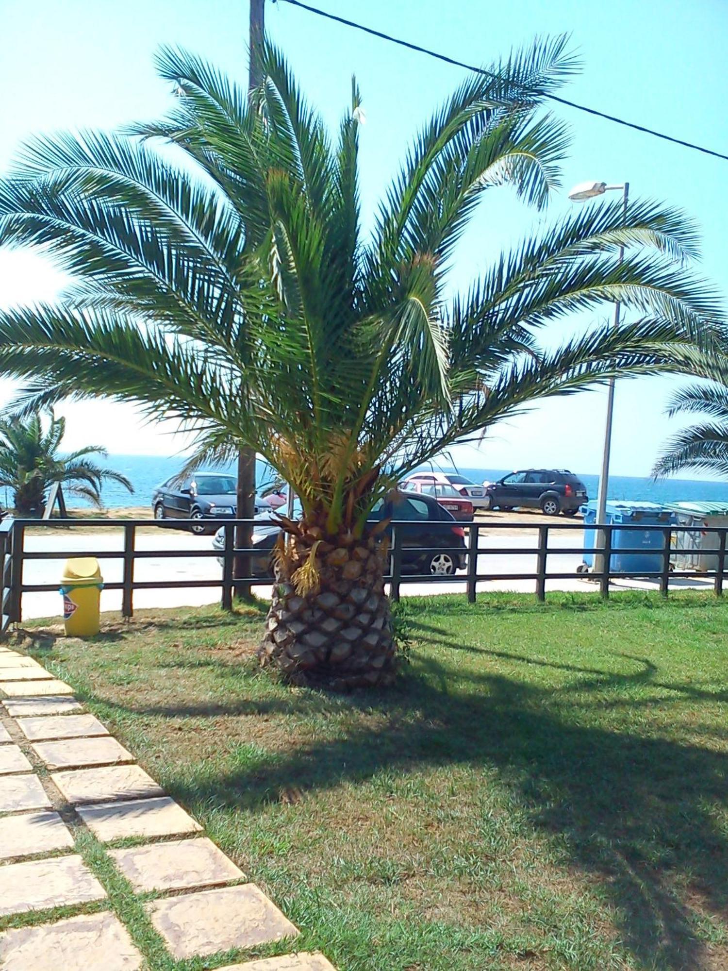 Konsta Apartment
