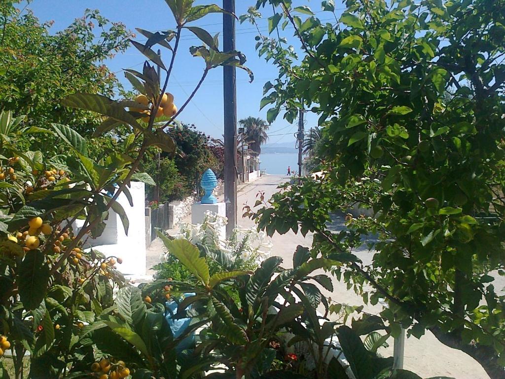 Dionysia Apartment