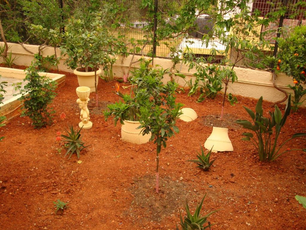 Maria Flora Aparthotel