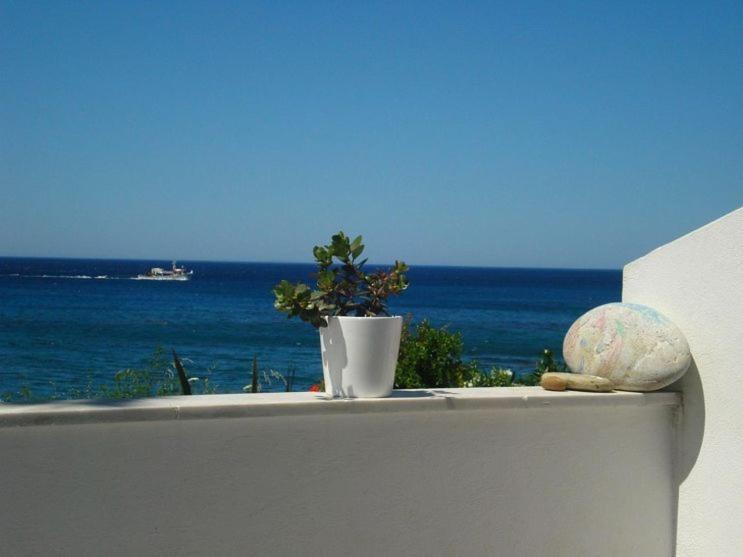 Skinos Apartment Plakias