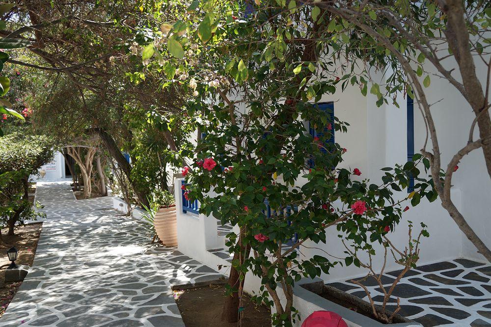 Akrogiali Platis Gialos (Sifnos)