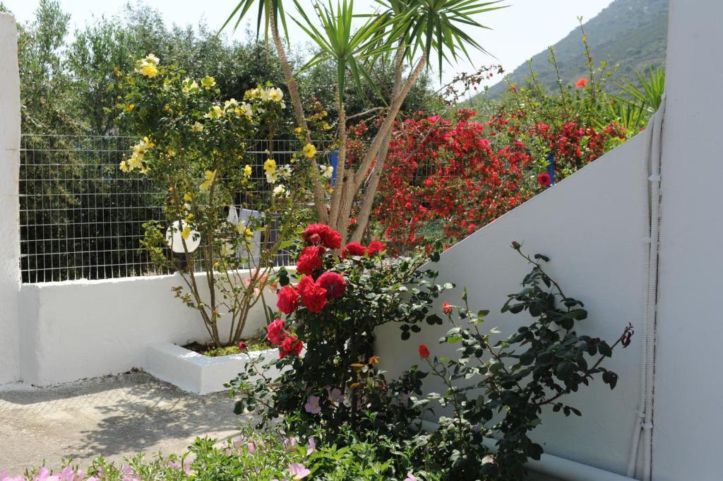 Spring Apartment