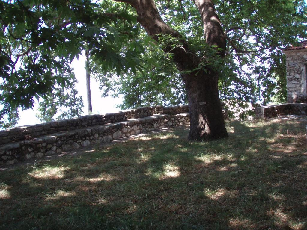 Aeropi Villa