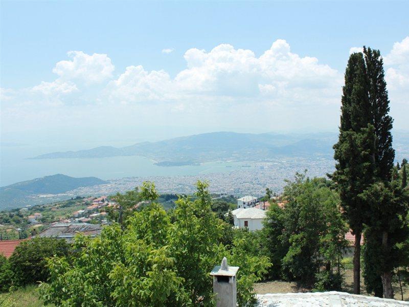 Archontiko Pantou Guest house Portaria (Magnesia)