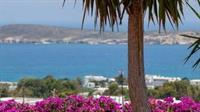 Hotel Aloe Paros And 3*