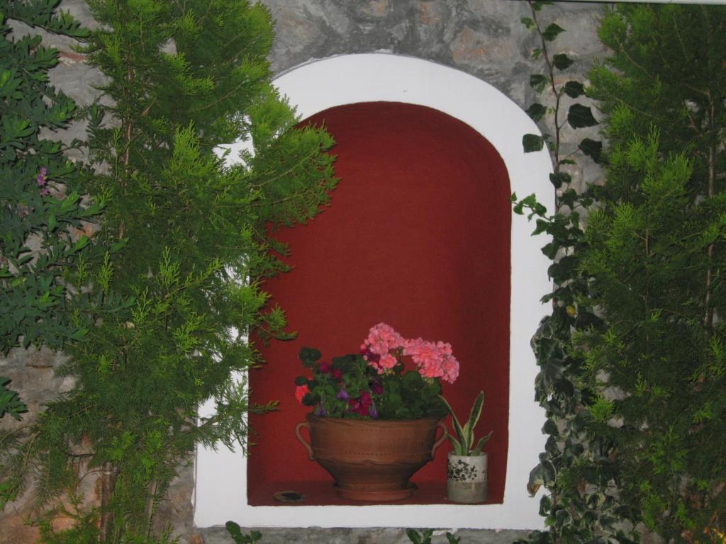 Mistral Guest house 3*