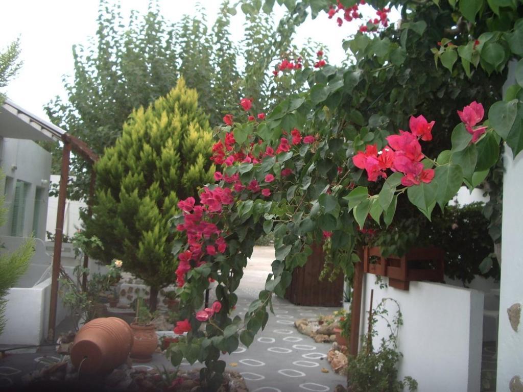 Skyros Panorama Studios Skyros