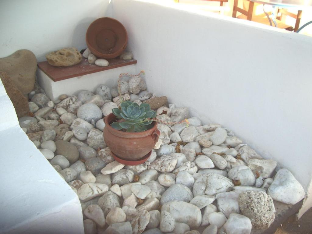 Skyros Panorama Studios Guest house Skyros