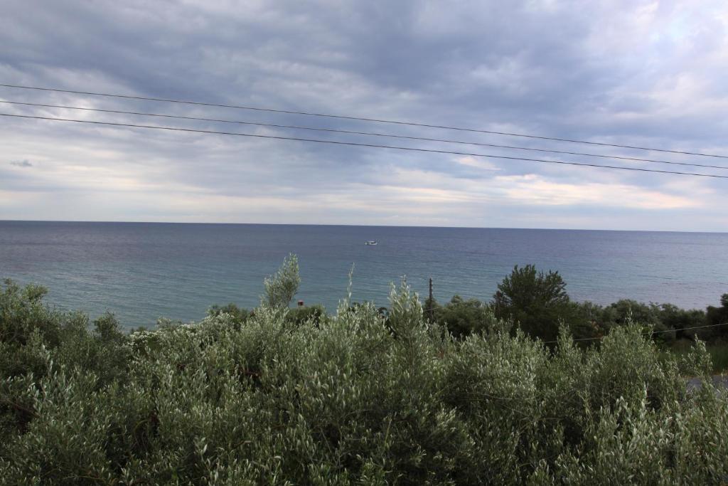 Studios Kaintas Agia Paraskevi (Kassandra)