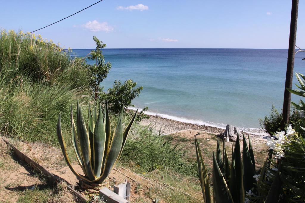 Studios Kaintas Apartment Agia Paraskevi (Kassandra)