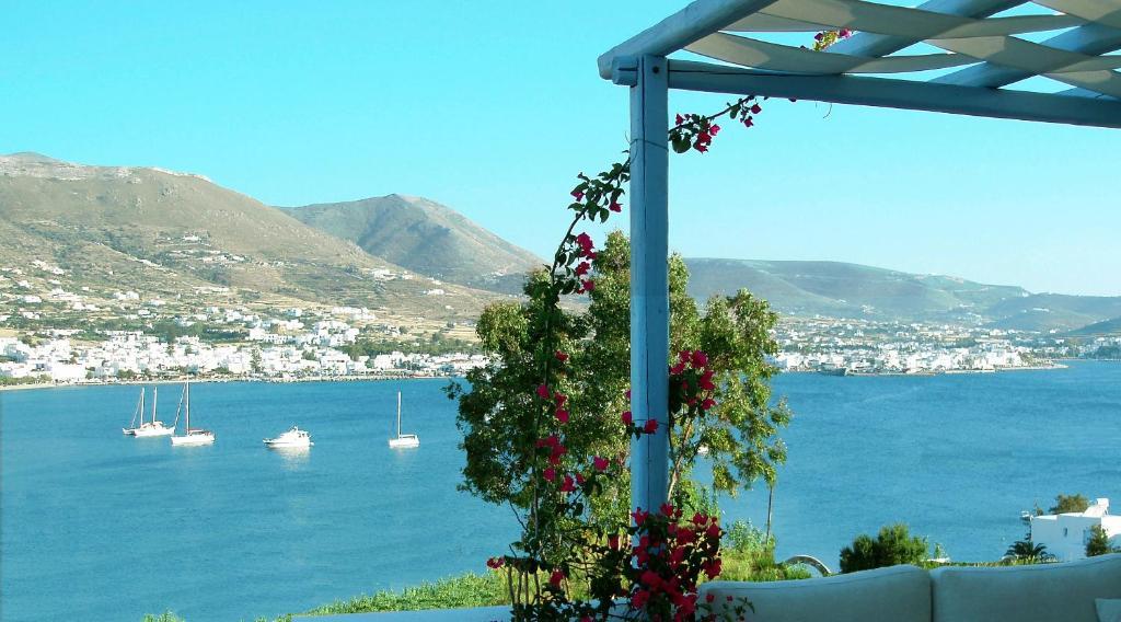 Paradise * Parikia (Paros)