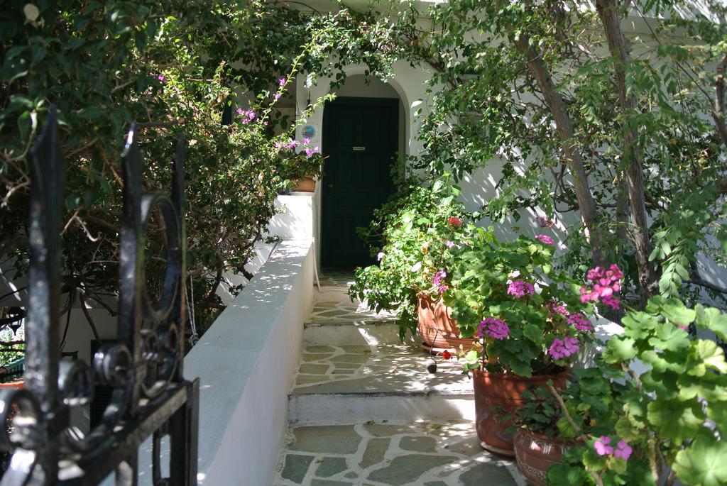 Meltemi Batsi (Andros)