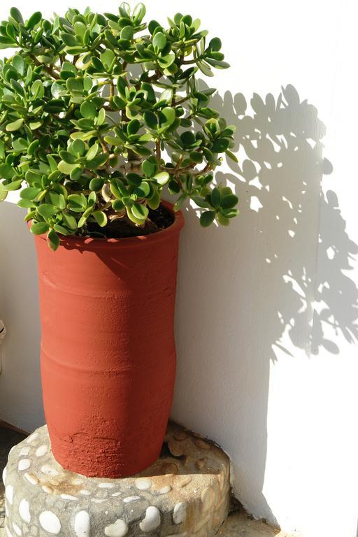 Aparthotel Karabo Livadi (Astypalaia)