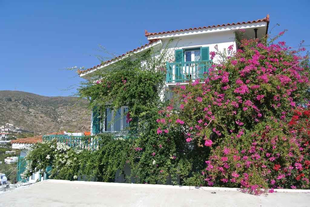 Meltemi Batsi (Andros)