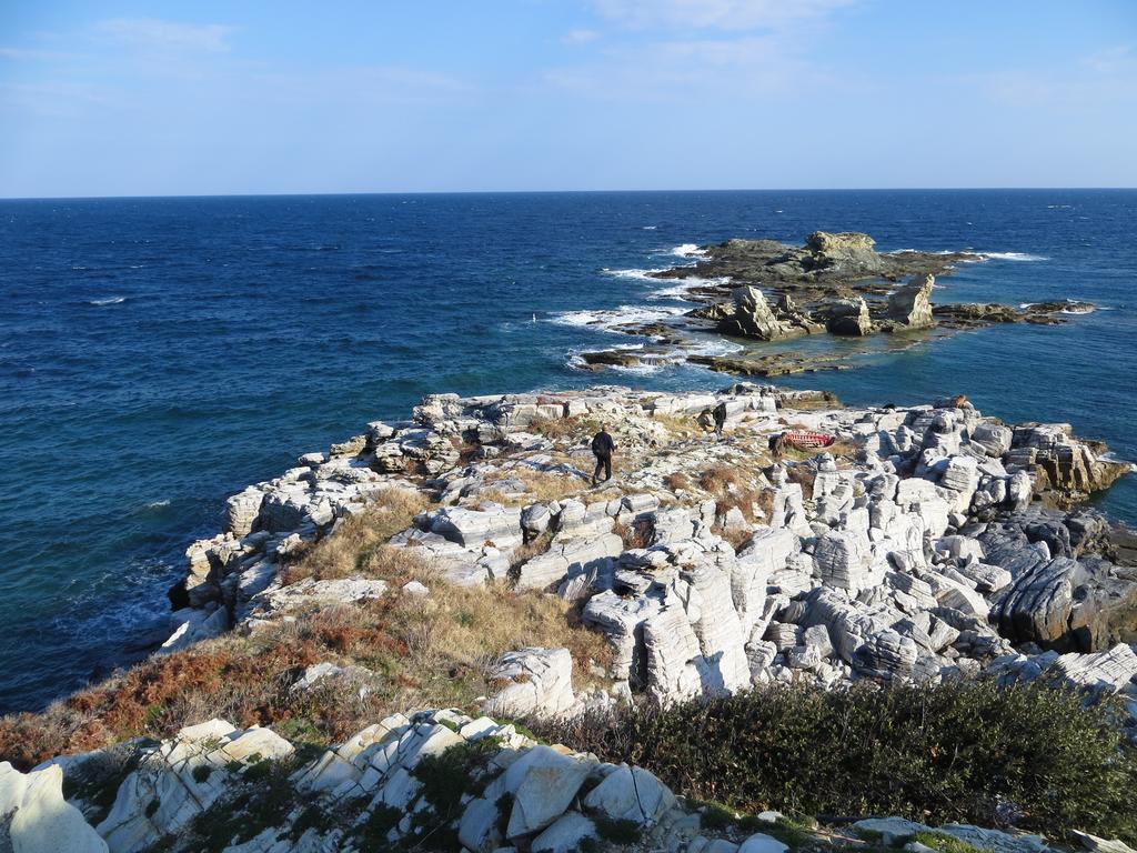 Greco Koropi