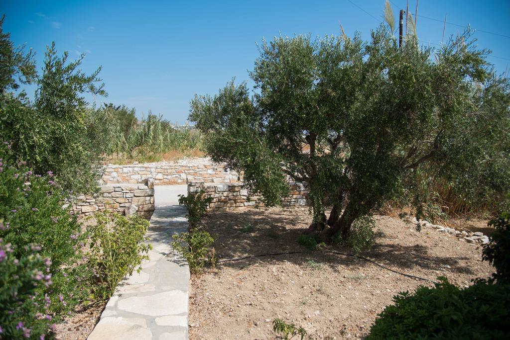 Flora & Agelos Studios Chrisi Akti (Paros)