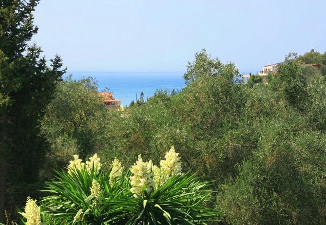 Apartment Danai Agios Georgios Pagon