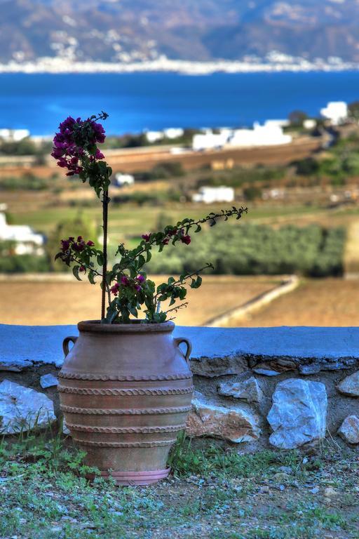 Country house Aegean Queen *