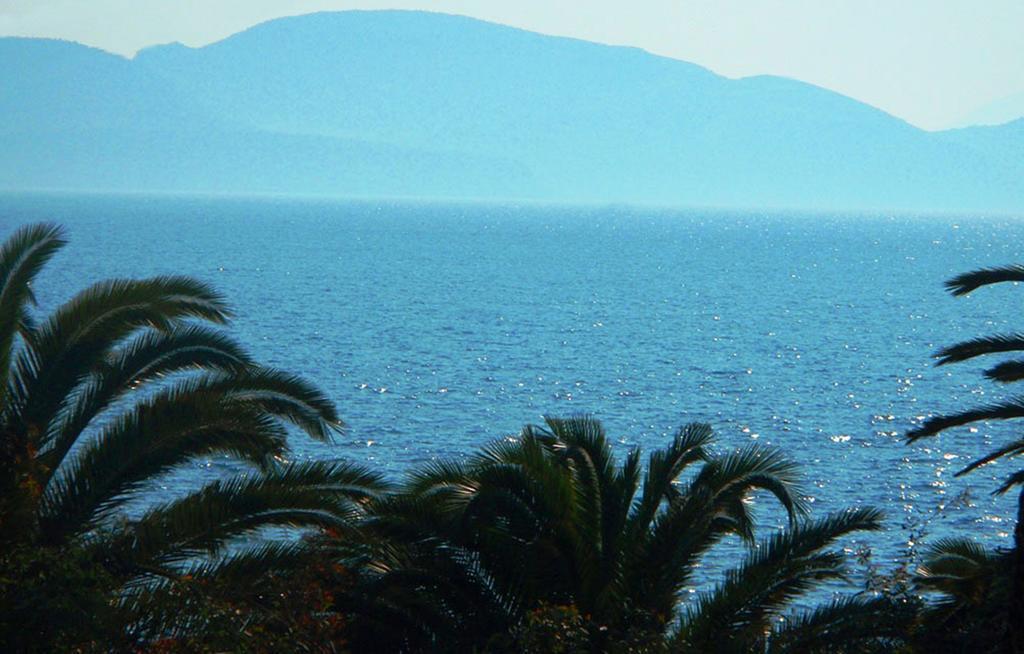 Guest house Vasilis