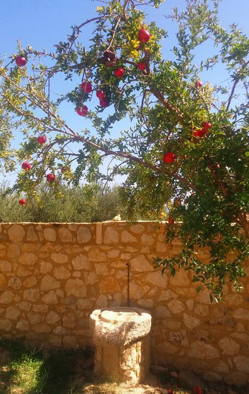 Villa Onirozo Private *