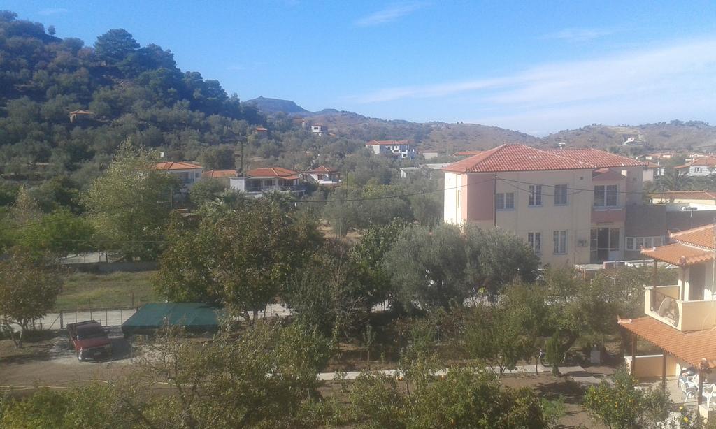 Vassilis