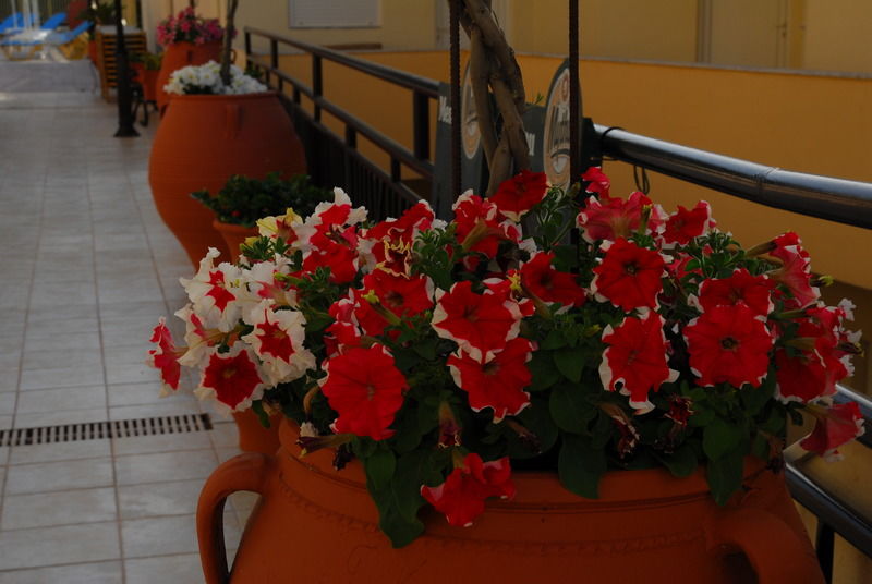 Apartment Elpis And Bali (Crete)