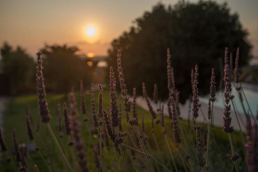 Pyleanblue Villa Pylos