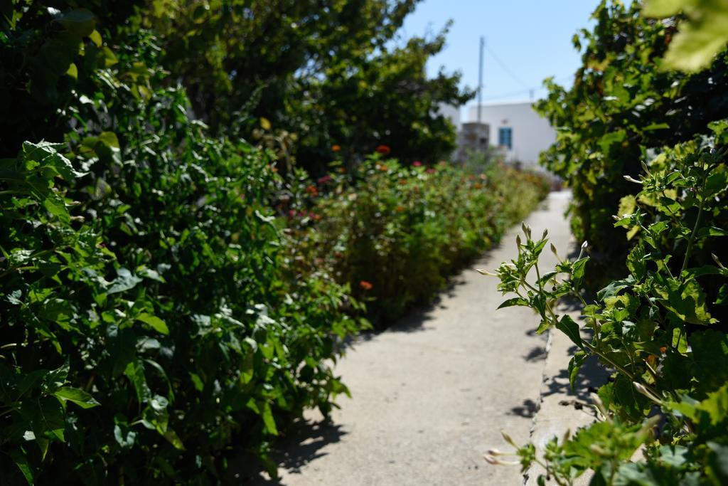 Flora & Agelos Studios * Chrisi Akti (Paros)