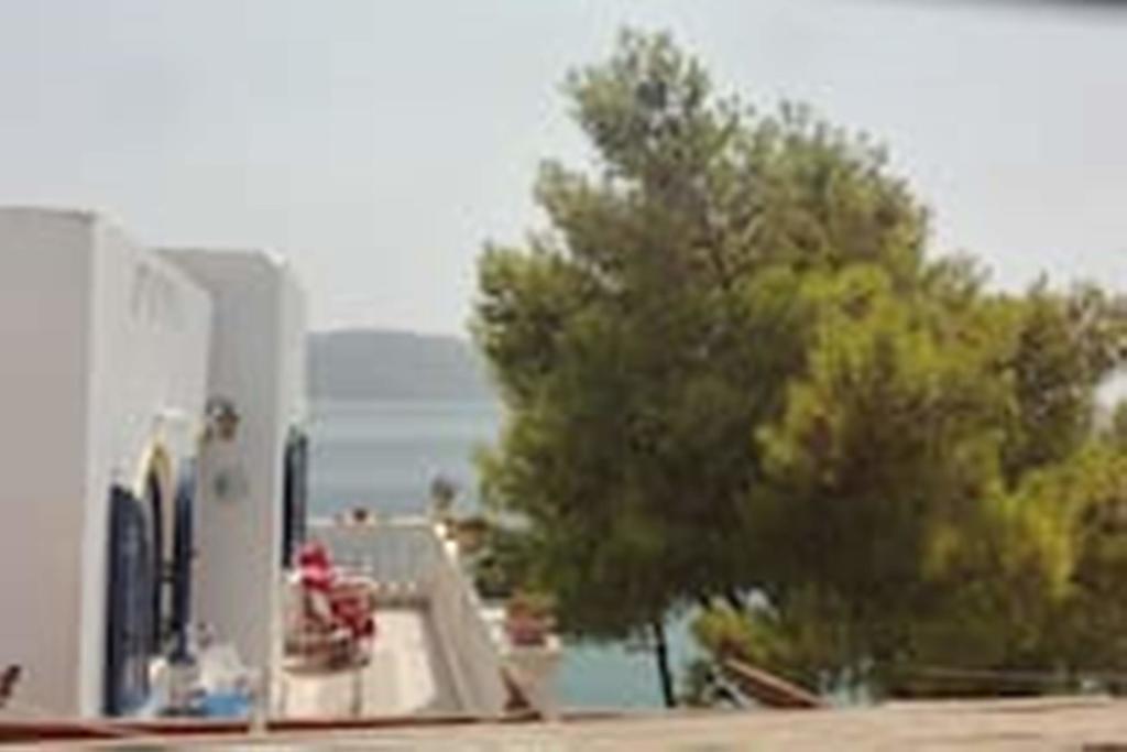 Wavedance * Salamis