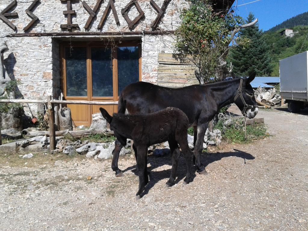 Archontiko Nikolopoulou Guest house