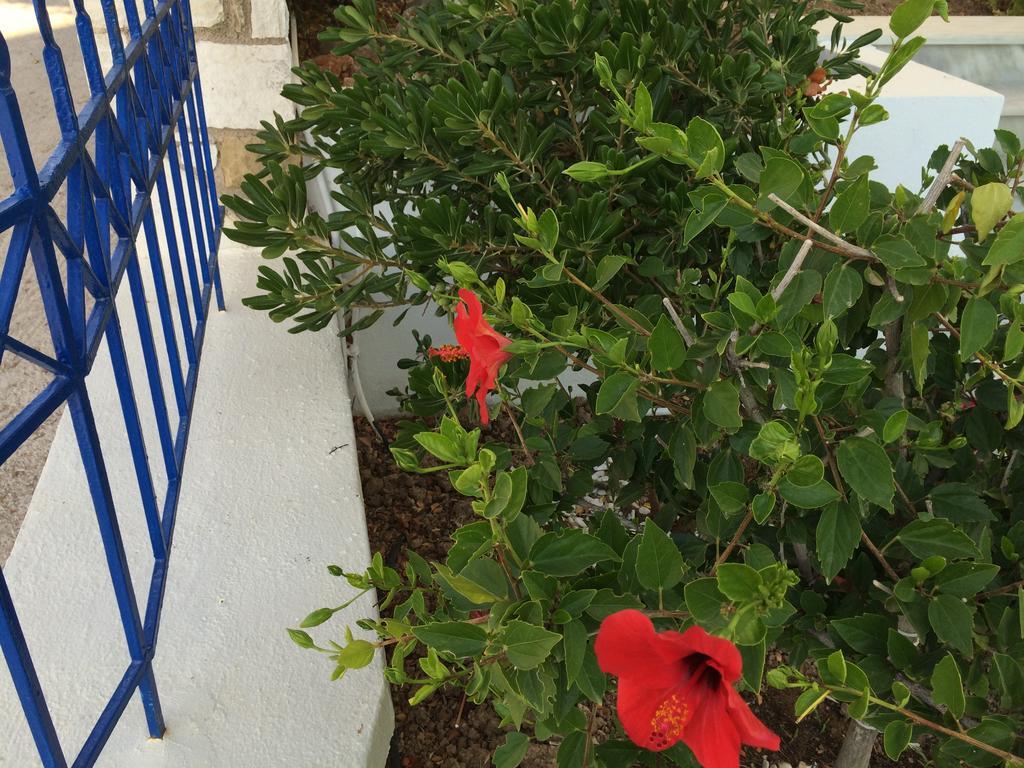 Sea Breeze Chios Apartment