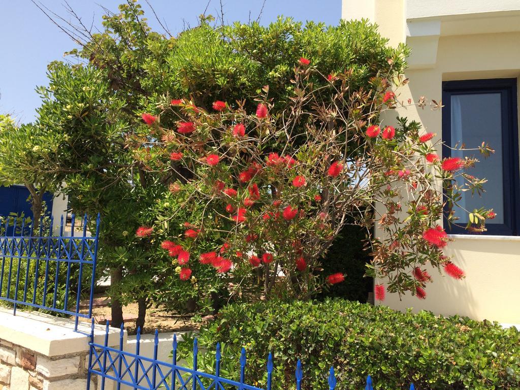Sea Breeze Chios *