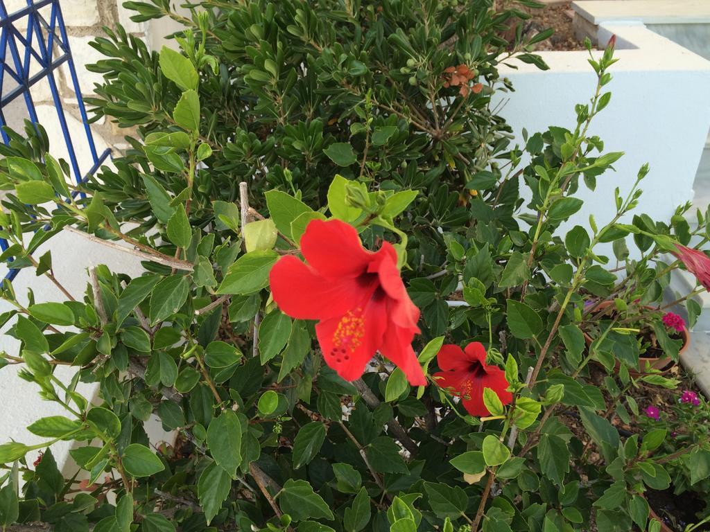 Sea Breeze Chios