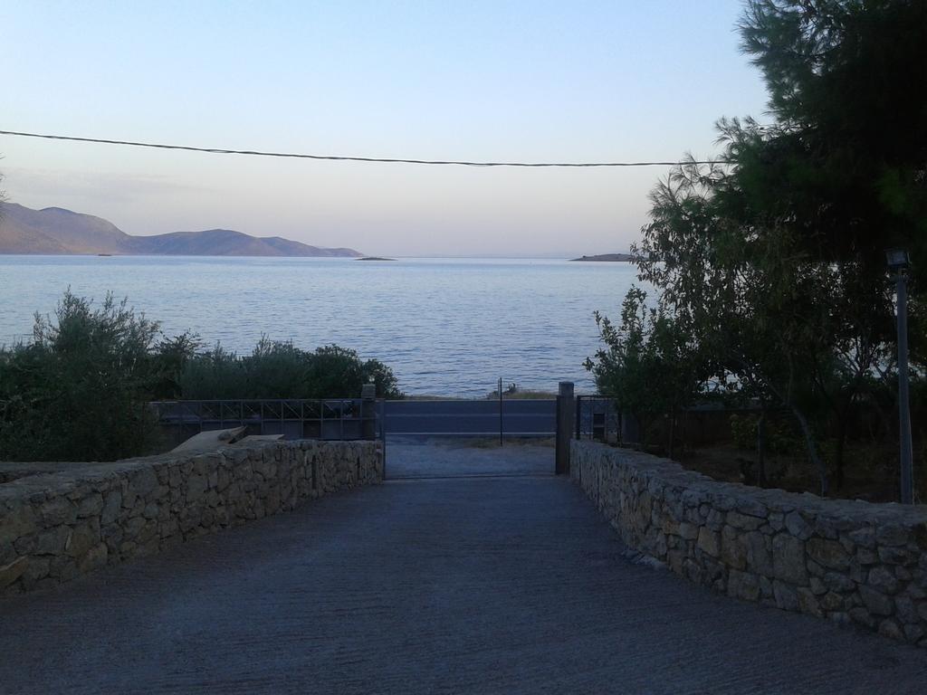 Niriides * Galaxidi