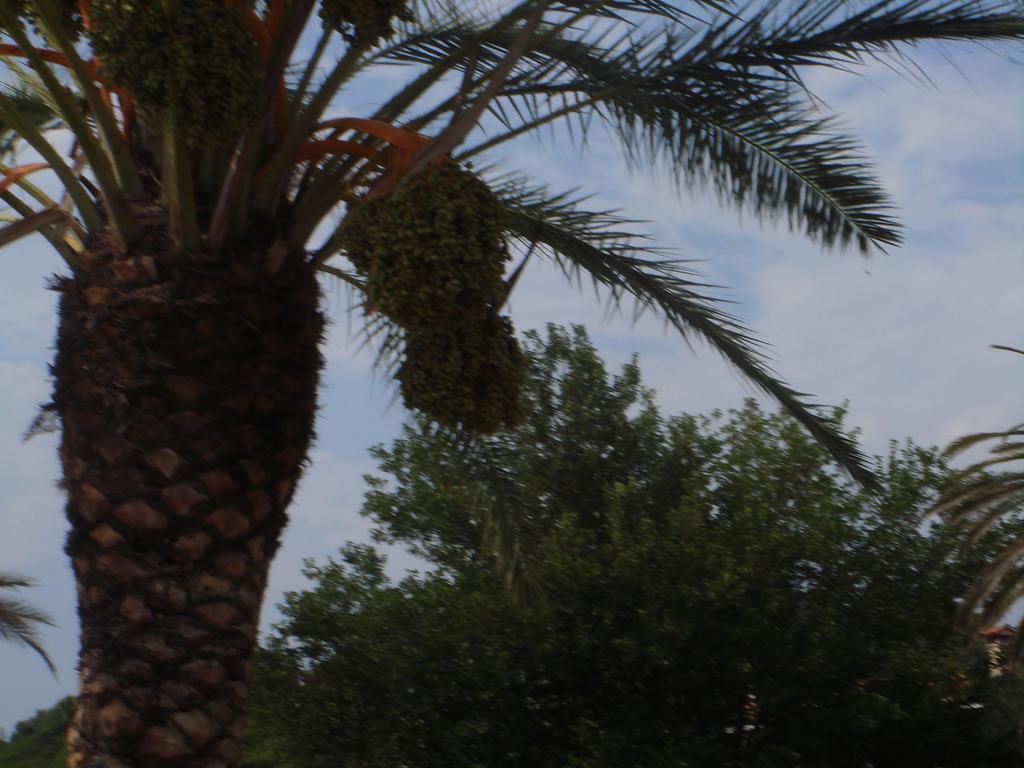 Mikiverna Maisonnette Holiday home