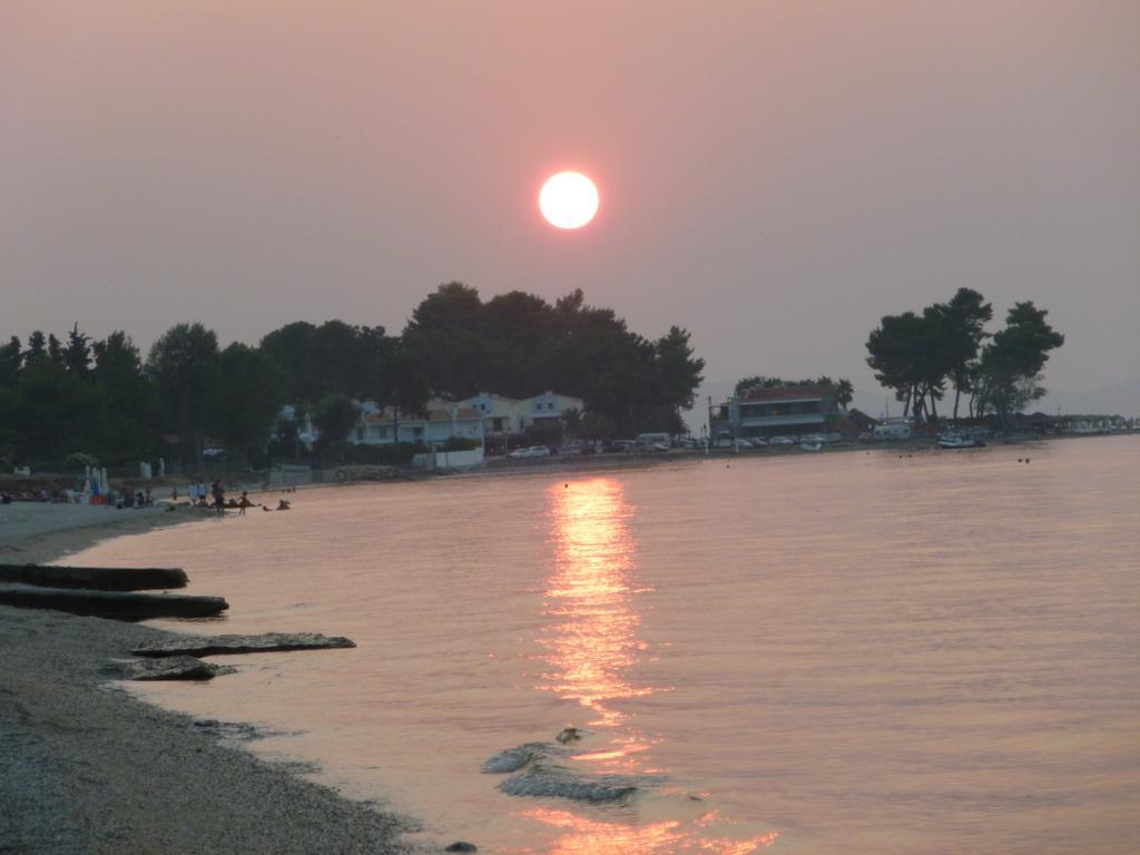 Efi * Pefkochori