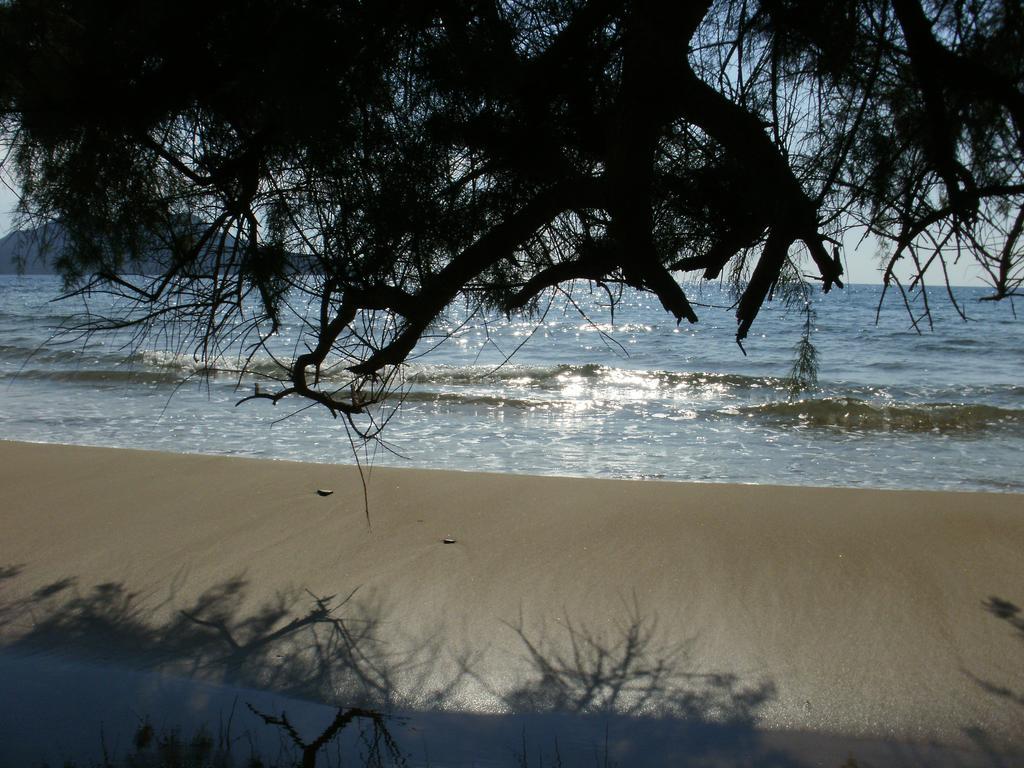 Charly Point Methoni (Messenia)